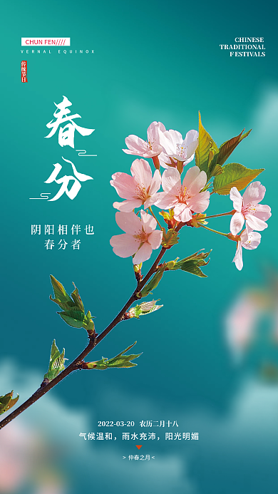 简约小清新春分节气摄影图手机海报