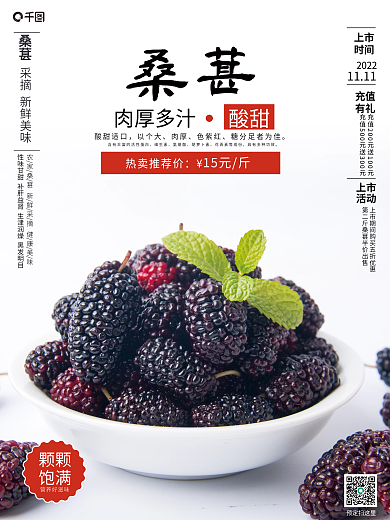 桑葚简约销售海报