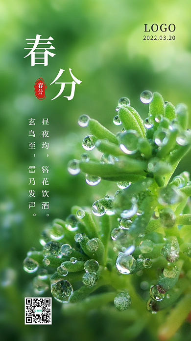 露珠绿叶春分节气启动页手机海报