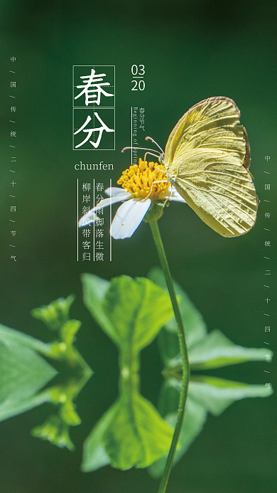 二十四节气春分蝴蝶节气简约海报