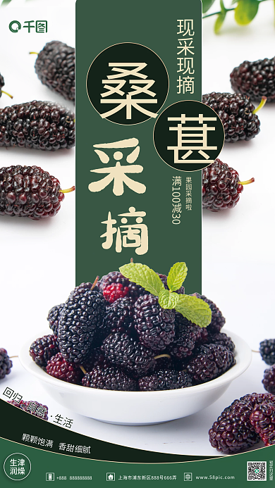 绿色桑葚宣传销售海报