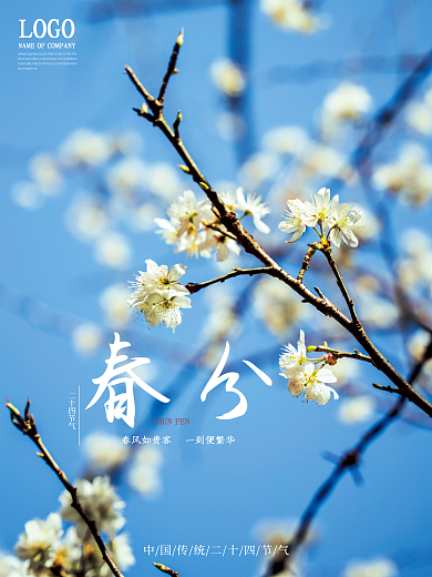 中国传统二十四节气春分海报