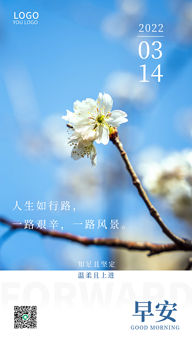 手机日签白色樱花