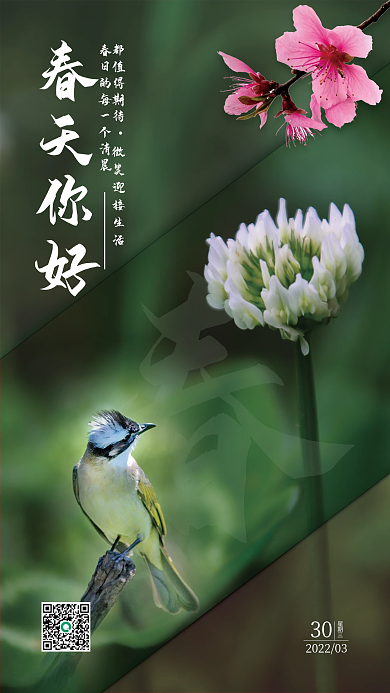 春天你好正能量日签海报