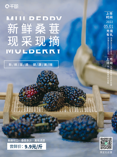 绿色桑葚销售海报