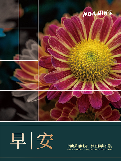 简约大气早安日签配图海报