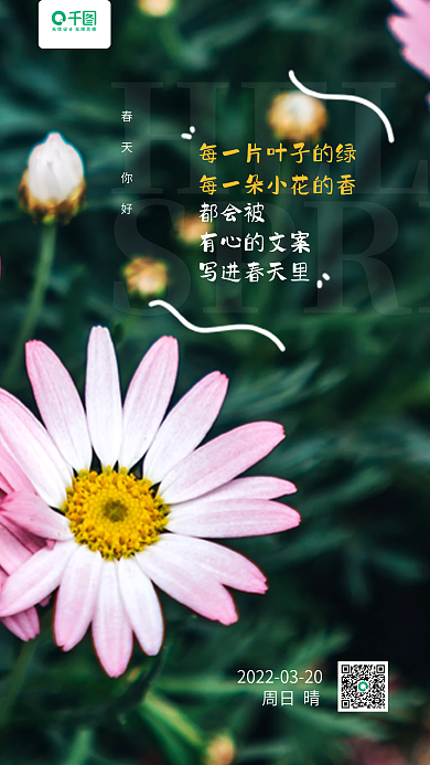 你好春天绿色花朵摄影图手机日签