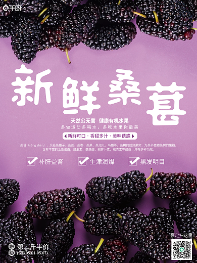 紫色桑葚销售推广海报