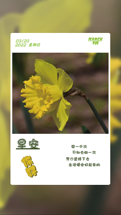 简约黄花早安朋友圈海报