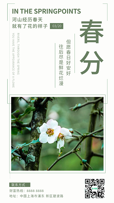 春分节气小清新简约节日海报