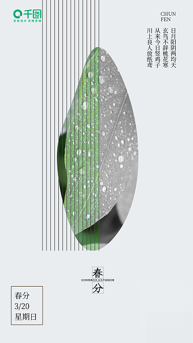 中国传统二十四节气春分节气树叶绿色