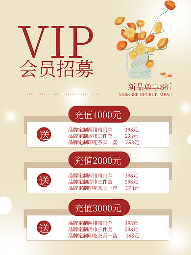 VIP会员招募充值进行中