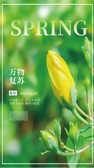 二十四节气春分节花朵简约海报
