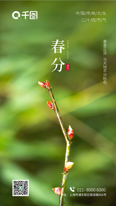 唯美简约高级地产酒店春分二十四节气海报