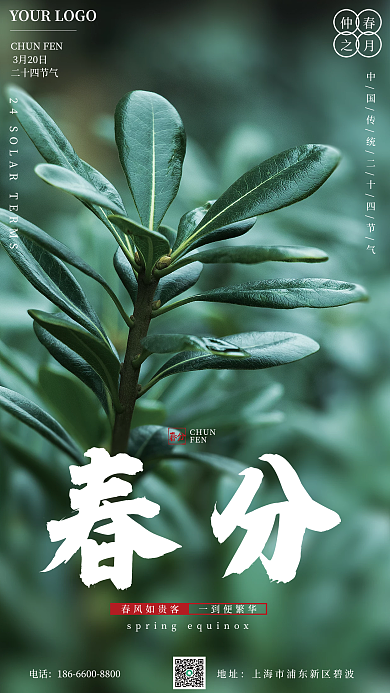 二十四节气春分海报