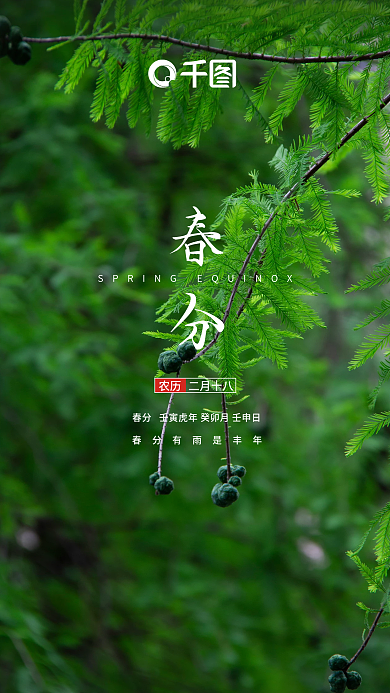 春分 节日海报 手机海报 二十四节气