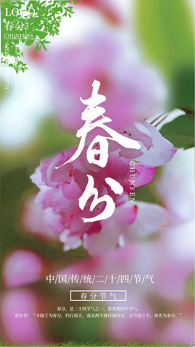 中国传统二十四节气春分海报