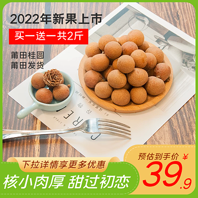 绿色食品美食水果干龙眼桂圆干水果主图模板