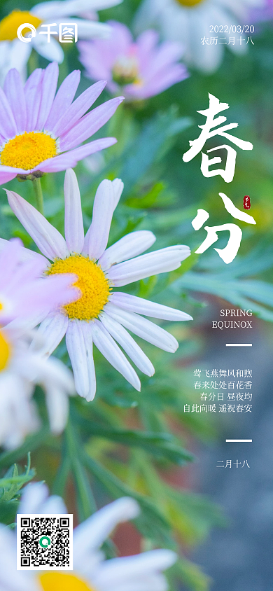 二十四节气春分花朵木茼蒿春日海报