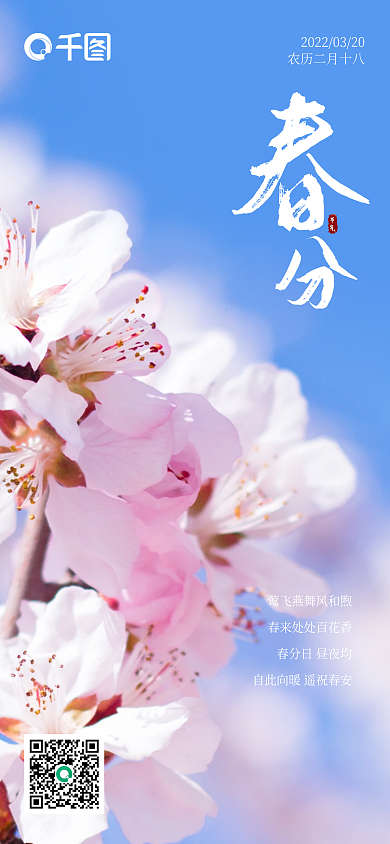 二十四节气春分樱花手机日签海报