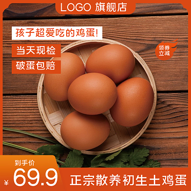 春季生鲜绿色鸡蛋礼盒土特产食品零食主图