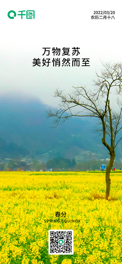 春分油菜花二十四节气手机海报