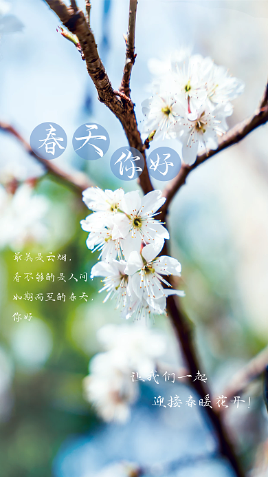 小清新春天你好海报