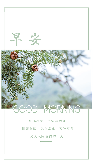 清晨松树励志日签朋友圈早安海报