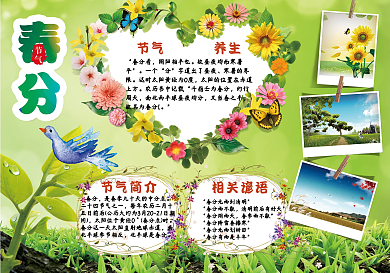 春分手抄报节气小报模板