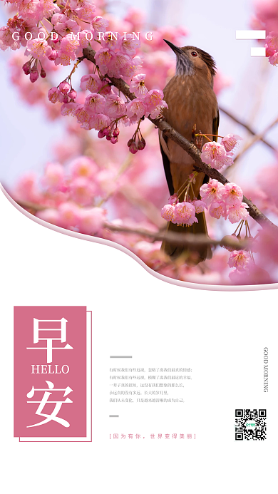 简约早安日签自勉朋友圈配图