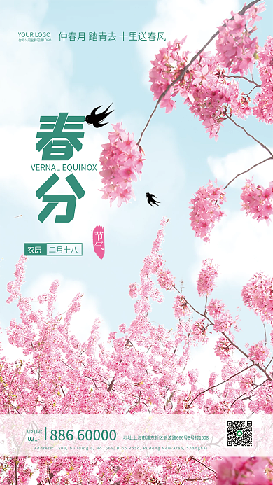 春分节气春天樱花节海报