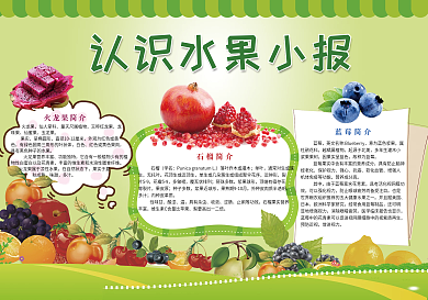 认识水果知识小报