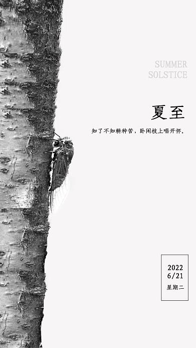 夏至极简创意黑白海报