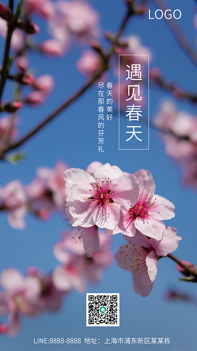 早安日签桃花清明节春分春天手机海报
