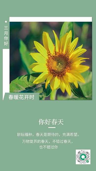 企业文化向日葵春天小清新海报