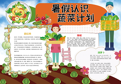 暑假认识蔬菜计划蔬果知识小报