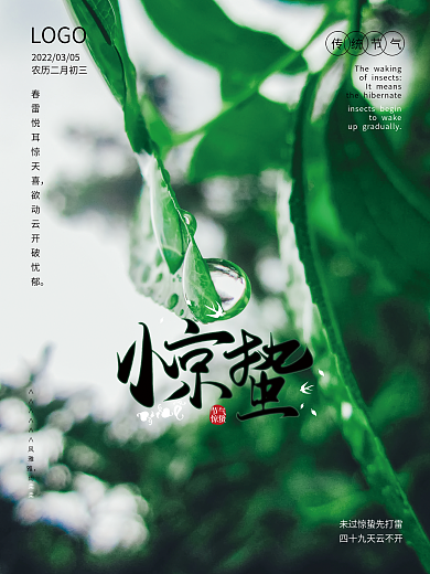 简约二十四节气惊蛰海报