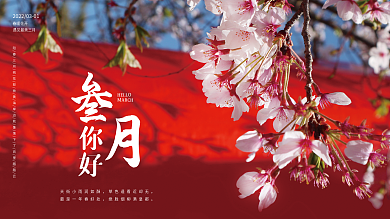 你好阳春三月樱花摄影图海报