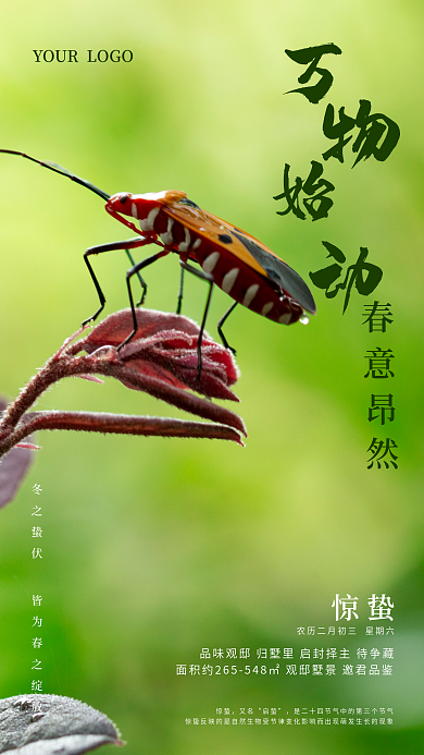 绿色简约二十四节气惊蛰手机海报