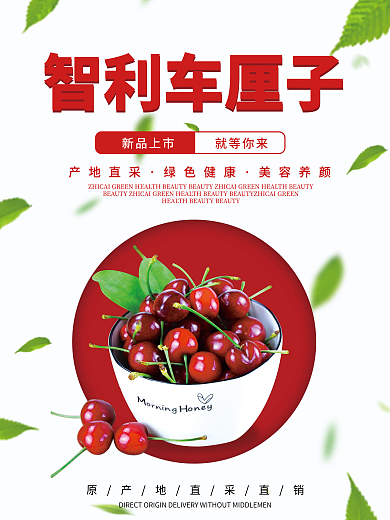 车厘子夏季水果海报