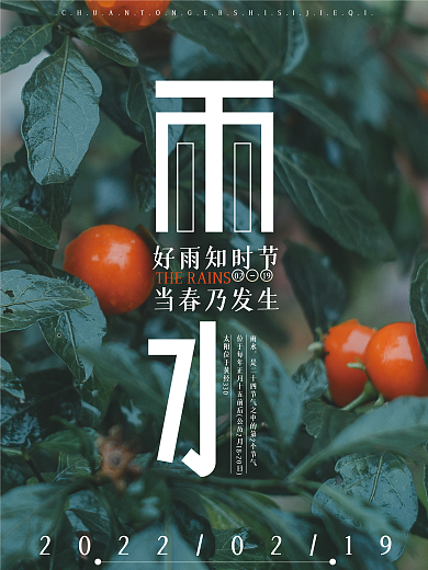 雨水文字排版海报设计