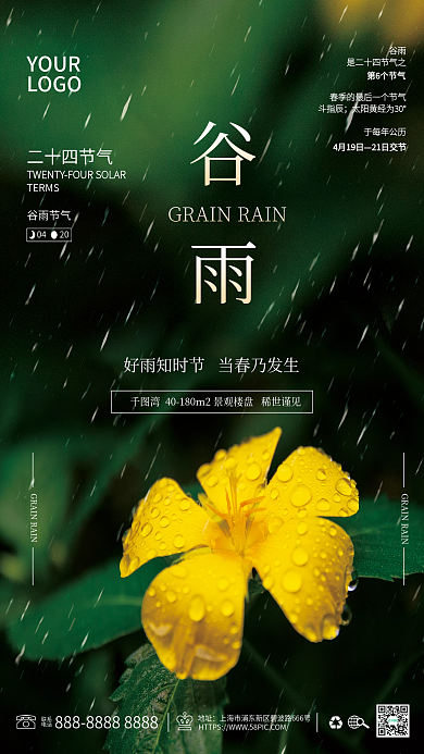 谷雨24节气下雨大雨春天鲜花露水雨滴实拍