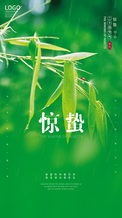 小清新简约惊蛰节气惊蛰谷雨雨水海报
