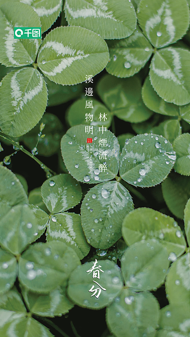 二十四节气春分绿叶海报