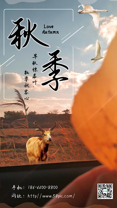 金色秋季驾车出游草原