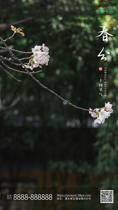 二十四节气春分桃花海报