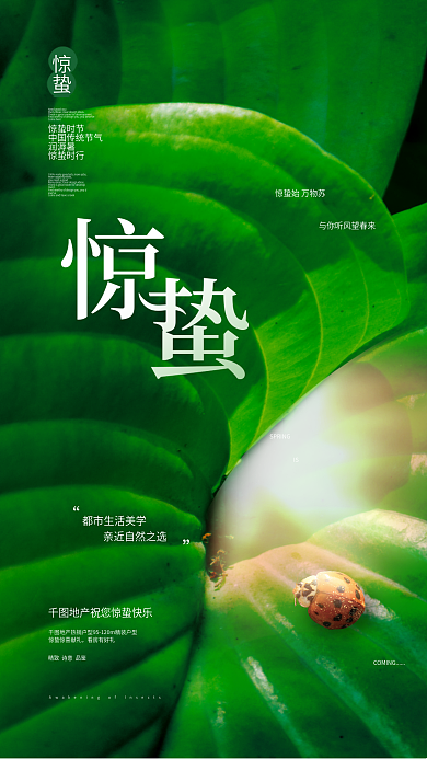 创意小清新意境惊蛰节气节日摄影图宣传海报