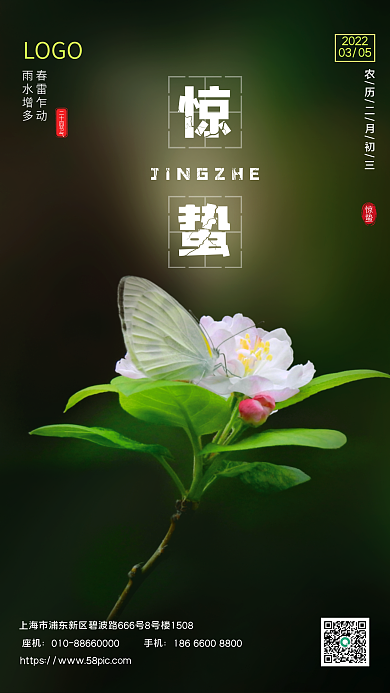 节日海报节气展板惊蛰海报