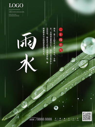 简约二十四节气雨水摄影图海报