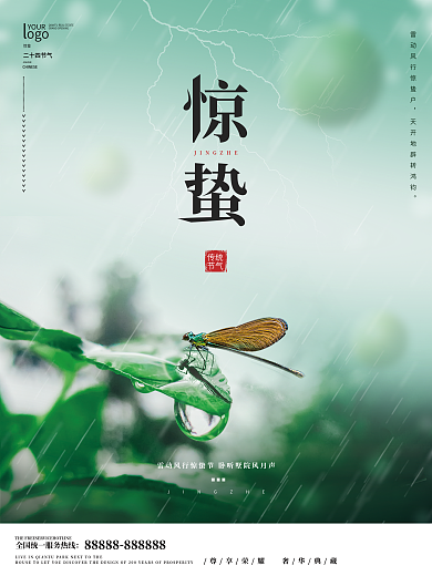 简约大气摄影合成惊蛰海报